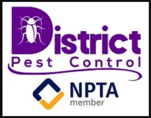 district Pest control uk